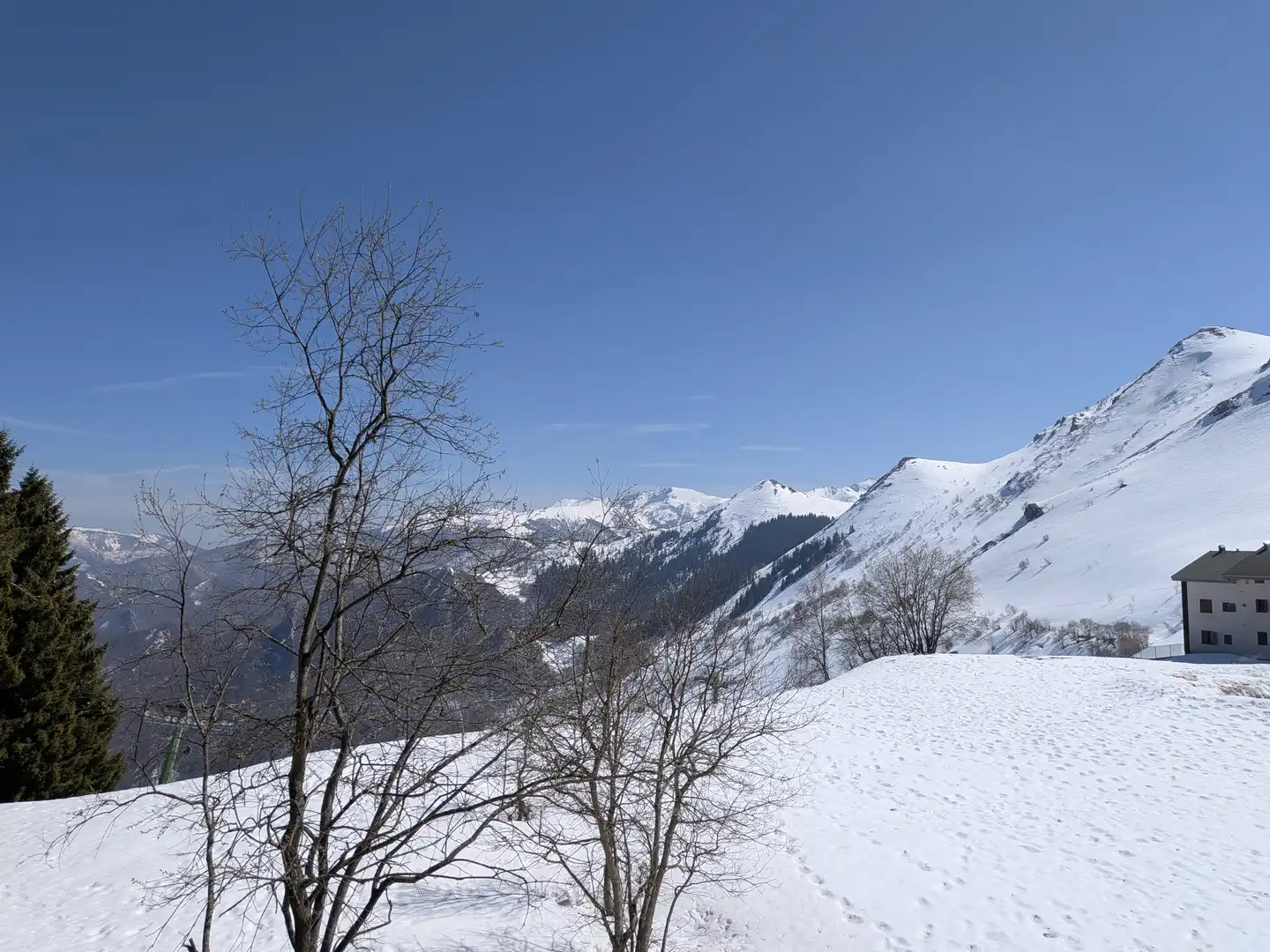 Immagine piccola numero 11 di BILOCALE