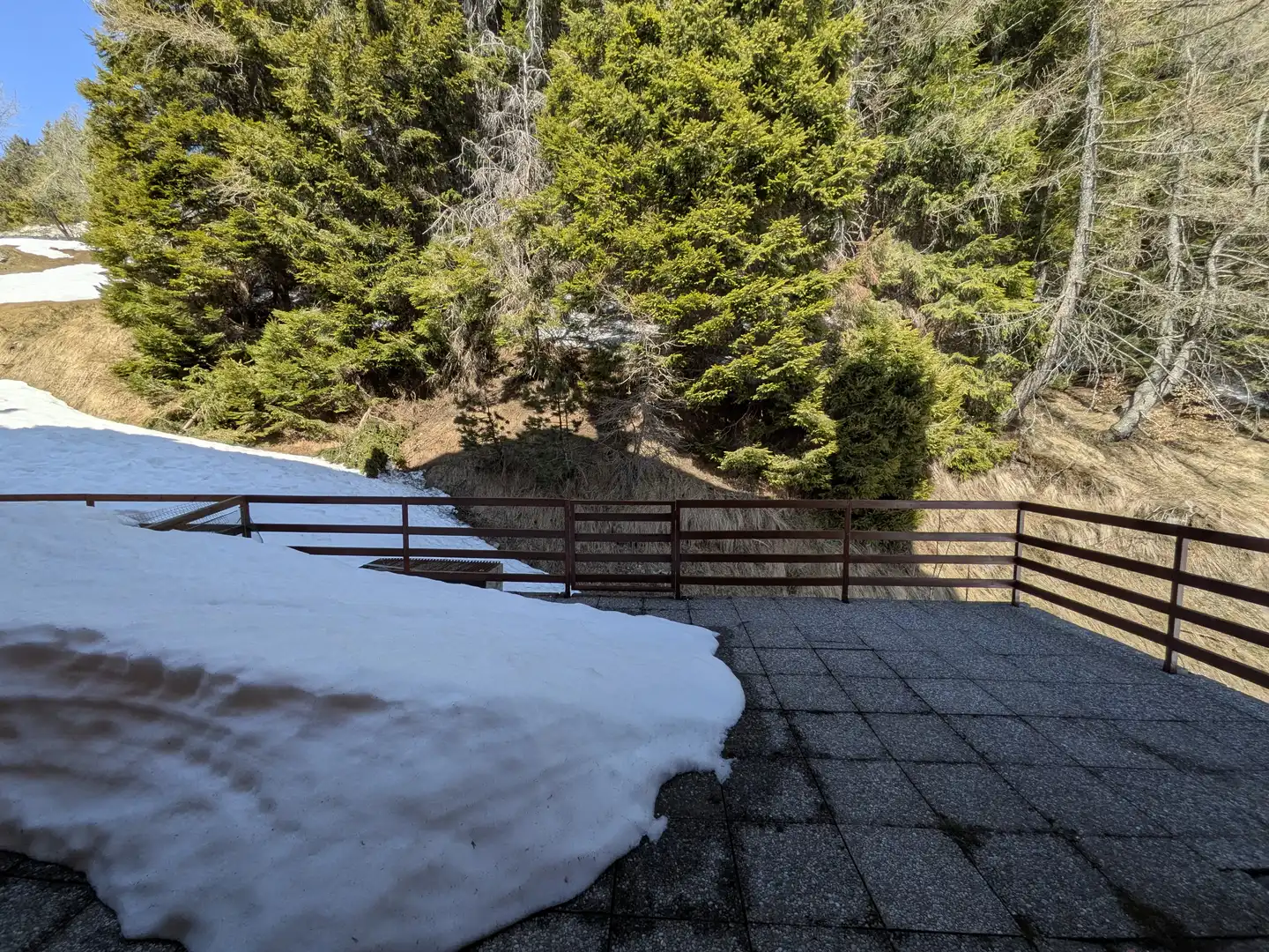 Immagine piccola numero 13 di BILOCALE