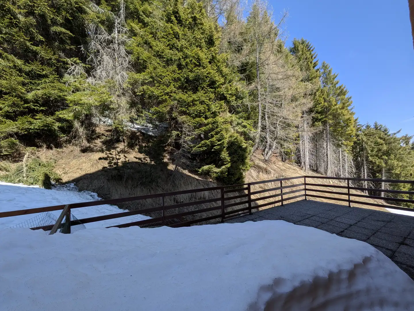 Immagine piccola numero 12 di BILOCALE