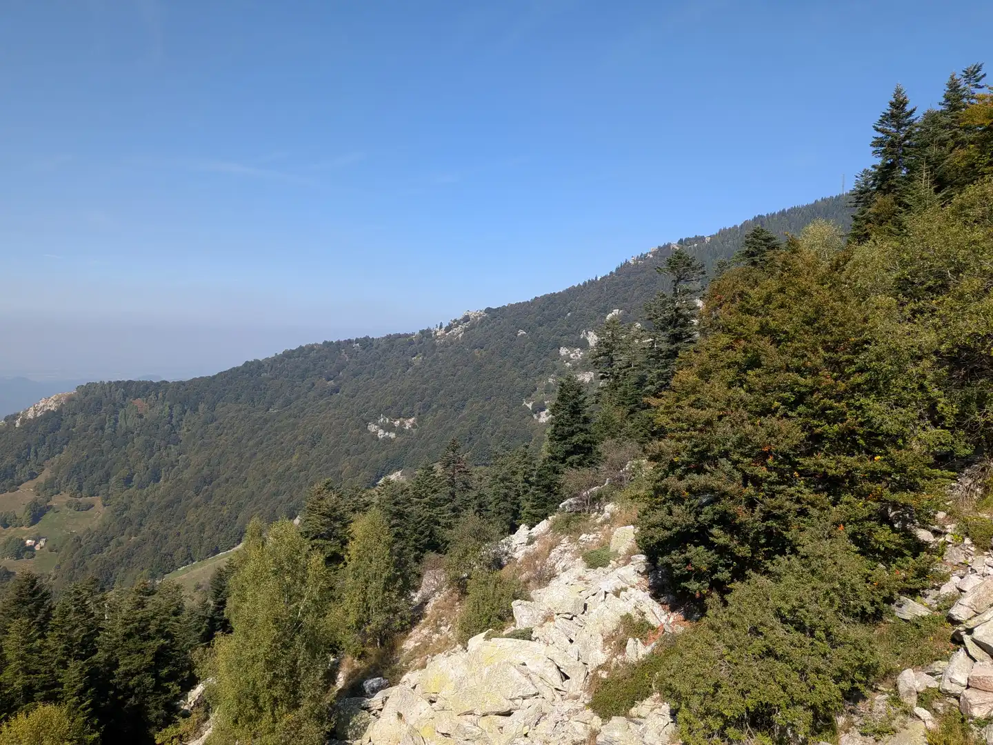 Immagine piccola numero 12 di TRILOCALE